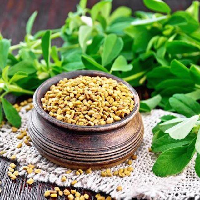 L'Huile de Fenugrec et ses bienfaits pour les cheveux – In Haircare