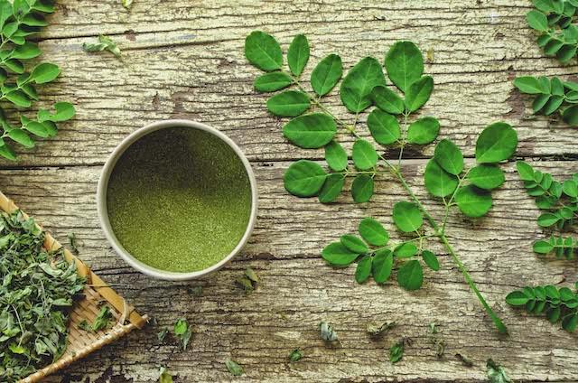 Les propriétés et vertus du Moringa - In Haircare