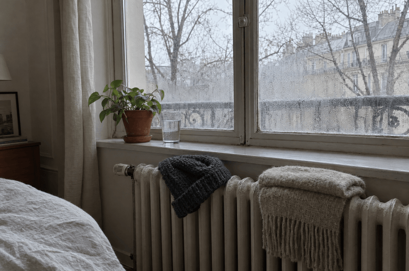 Pellicules en hiver : pourquoi elles reviennent ?