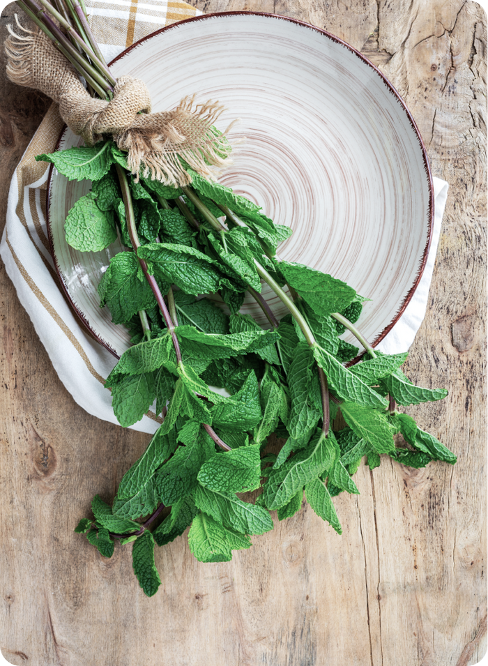 Menthe Poivrée Bio