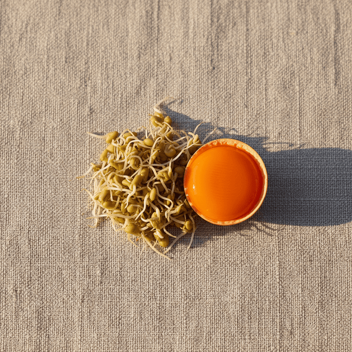 Choline & Inositol